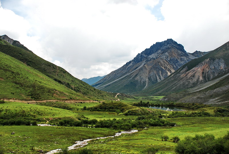 dsc_0123.jpg
