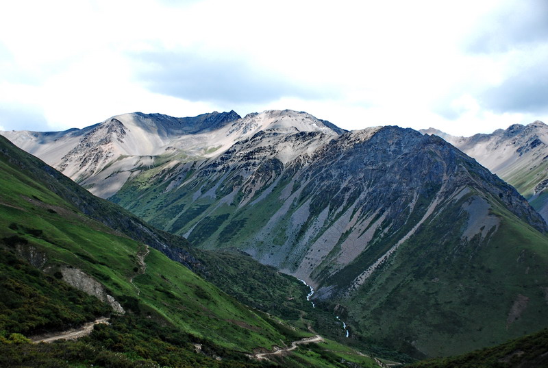 dsc_0133.jpg