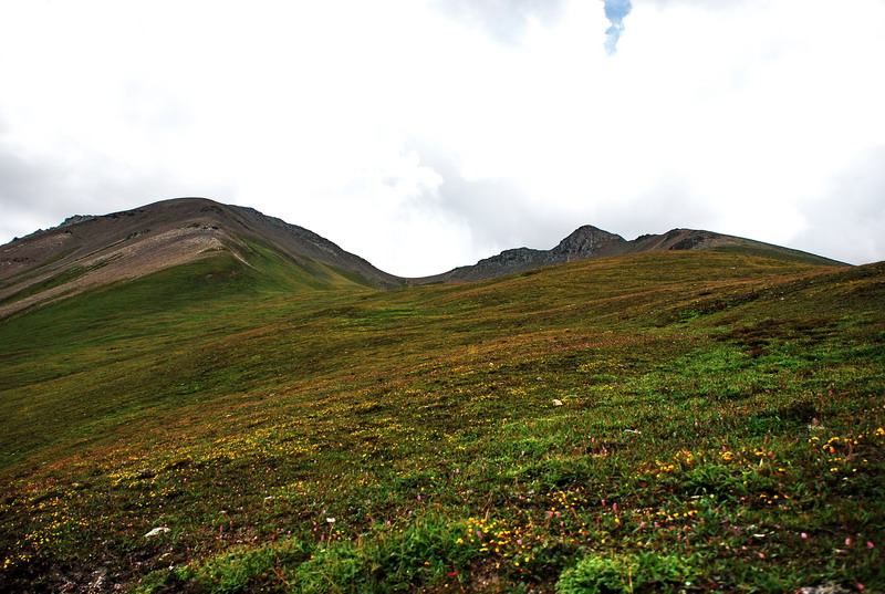 dsc_0157.jpg