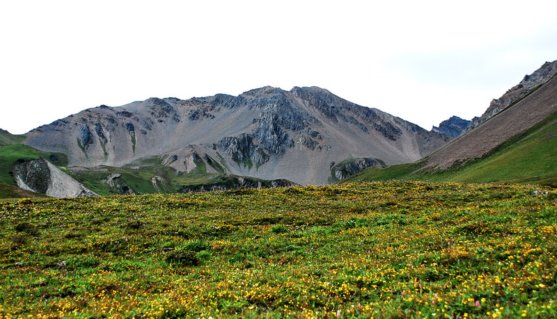 dsc_0162.jpg