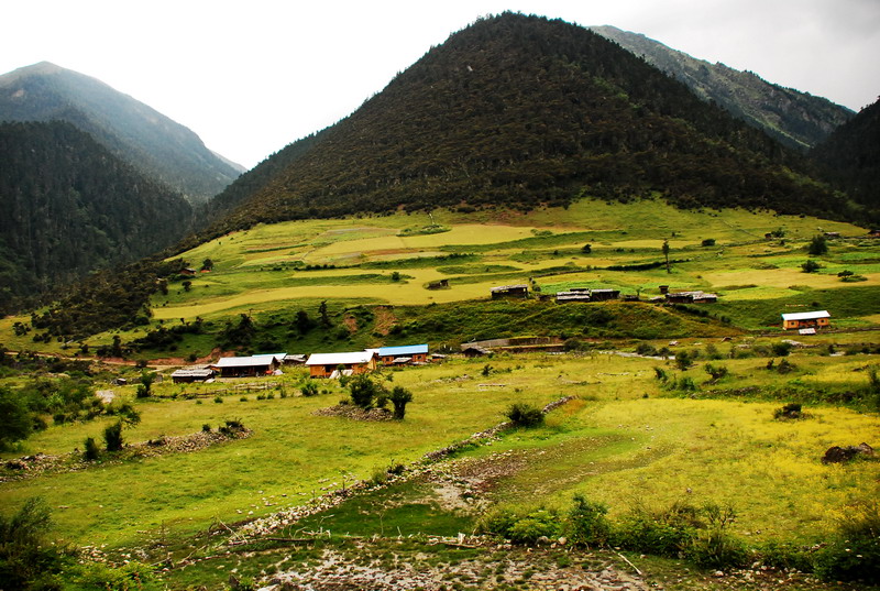 dsc_0259.jpg