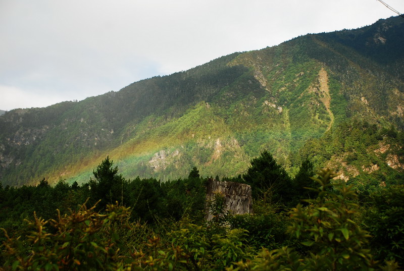 dsc_0269.jpg
