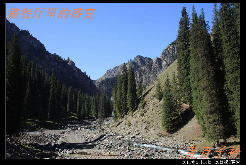 img_8378.jpg