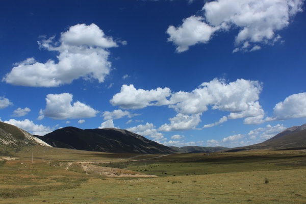 2011825916λ֮- 257.jpg
