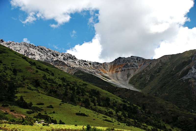 dsc_0100.jpg