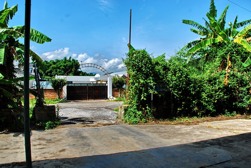 dsc_0224.jpg