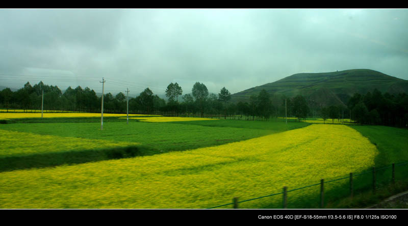 img_7259.jpg