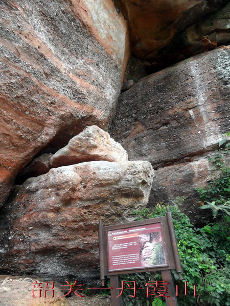 sam_2041_СС.jpg
