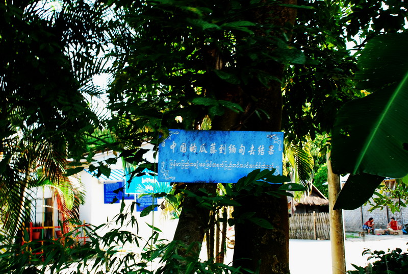 dsc_0357.jpg