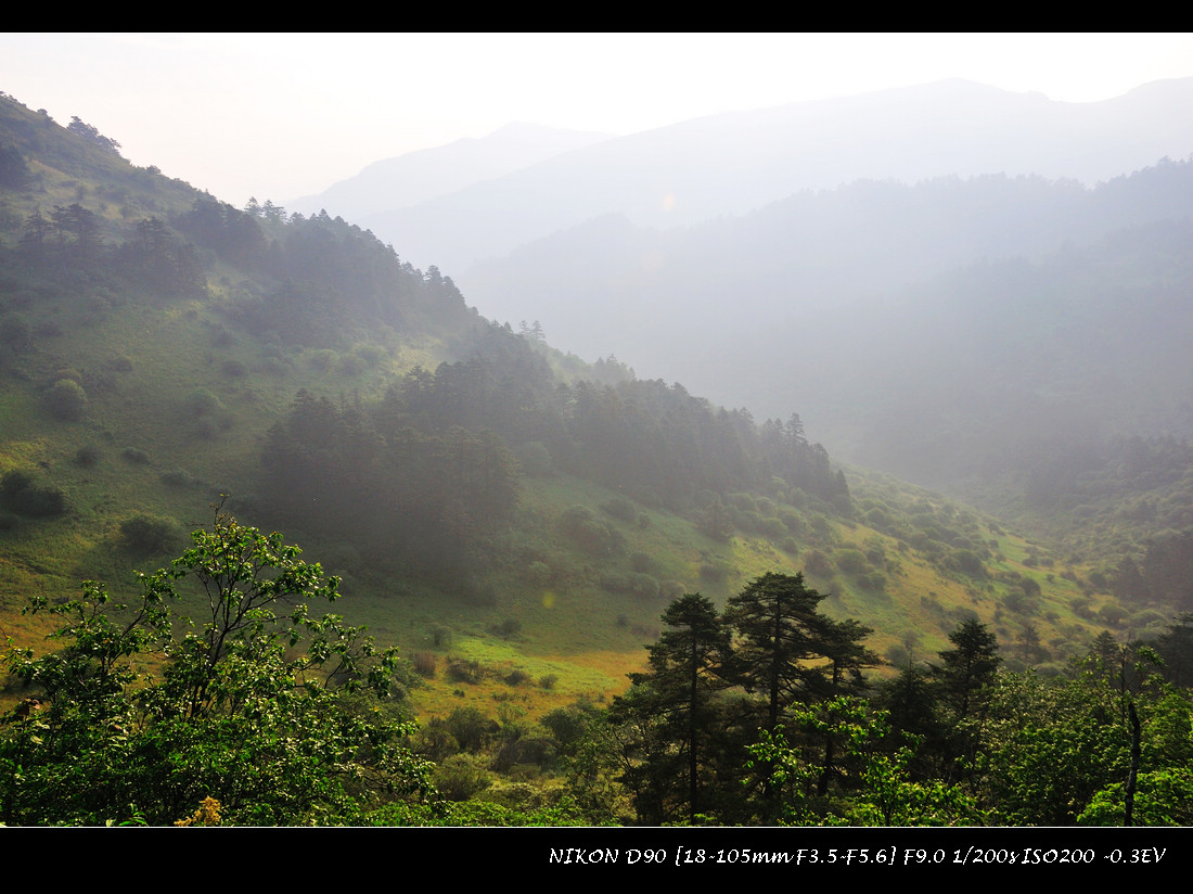 dsc_0368.jpg