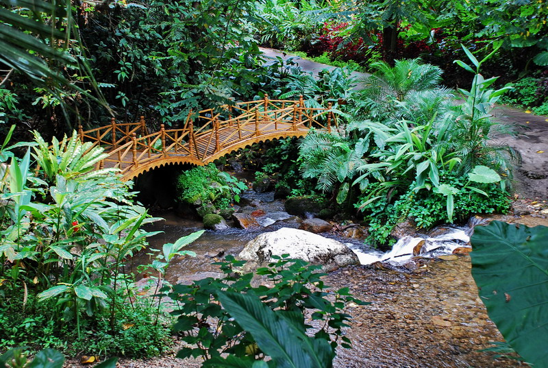 dsc_0077.jpg