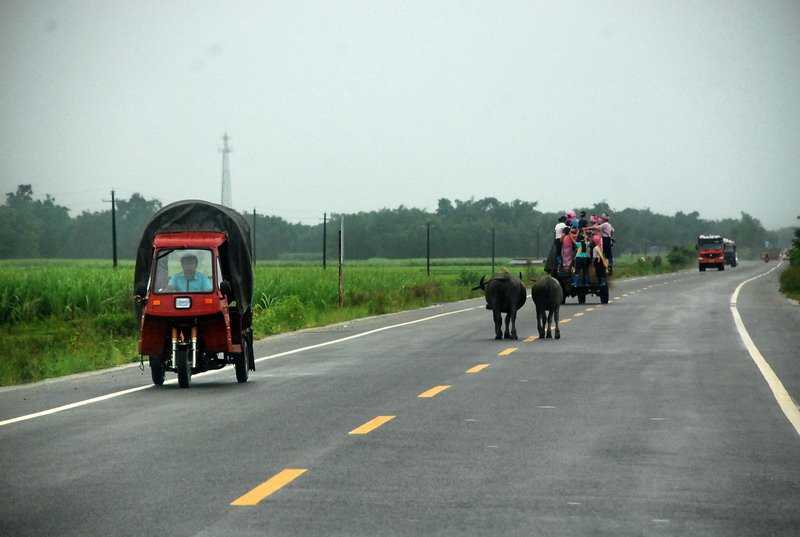 dsc_0494.jpg