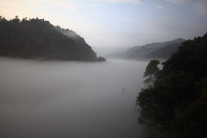 dpp_0085.jpg