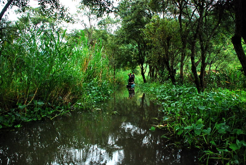 dsc_0107.jpg