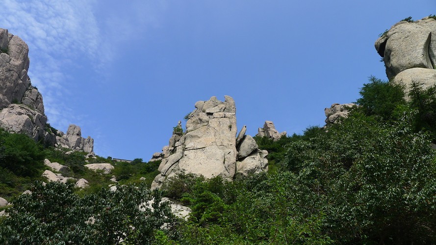 3309.jpg