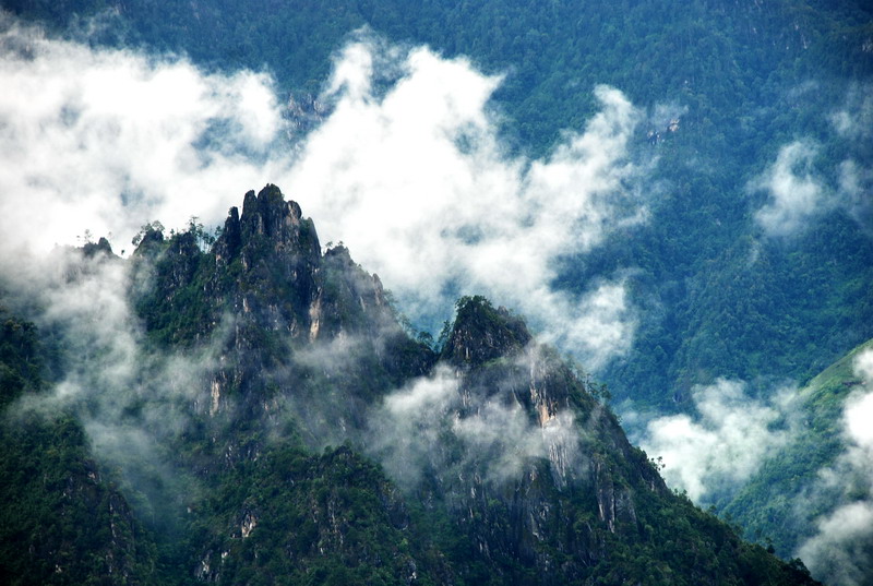 dsc_0316.jpg
