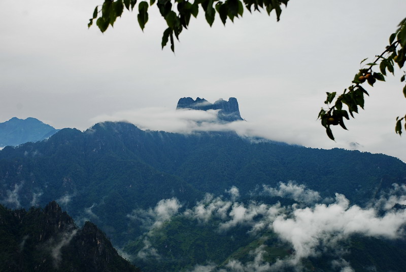 dsc_0345.jpg