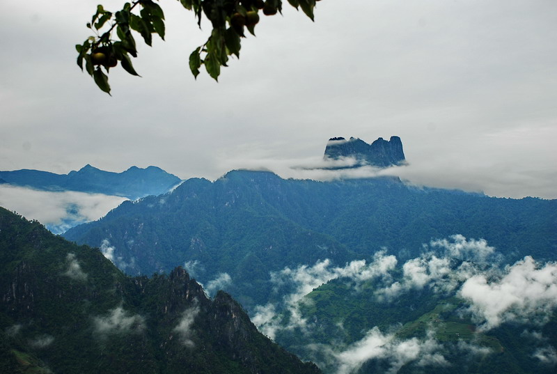 dsc_0351.jpg
