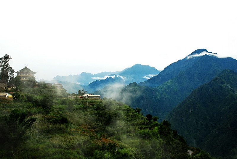 dsc_0395.jpg