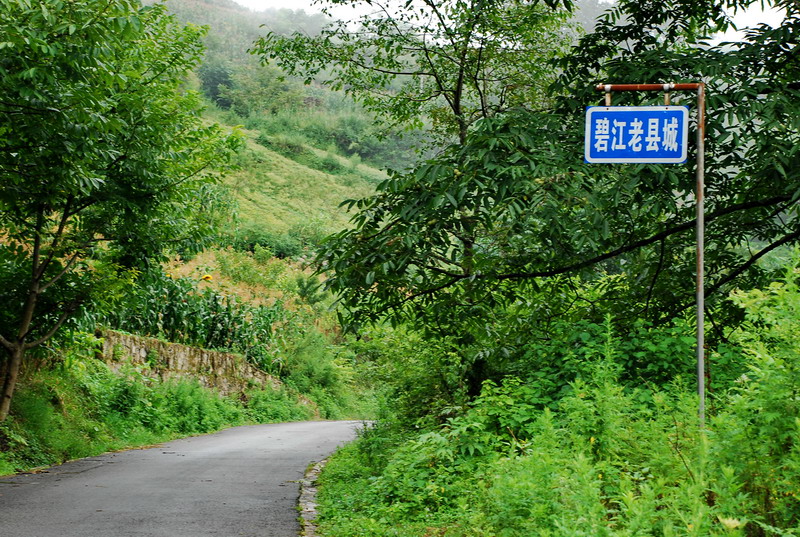 dsc_0400.jpg