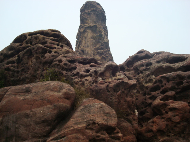 dsc00142.jpg