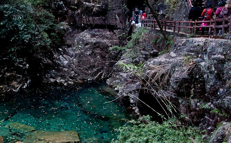 dsc_0116-1.jpg