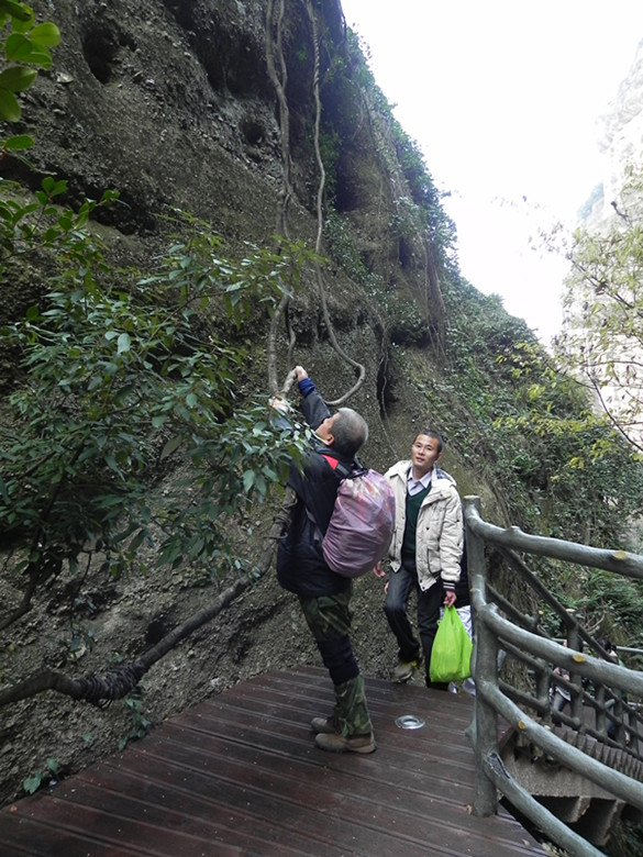 dscn0205_.jpg