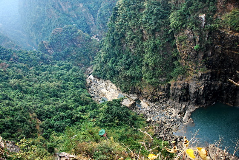 dsc_0010.jpg