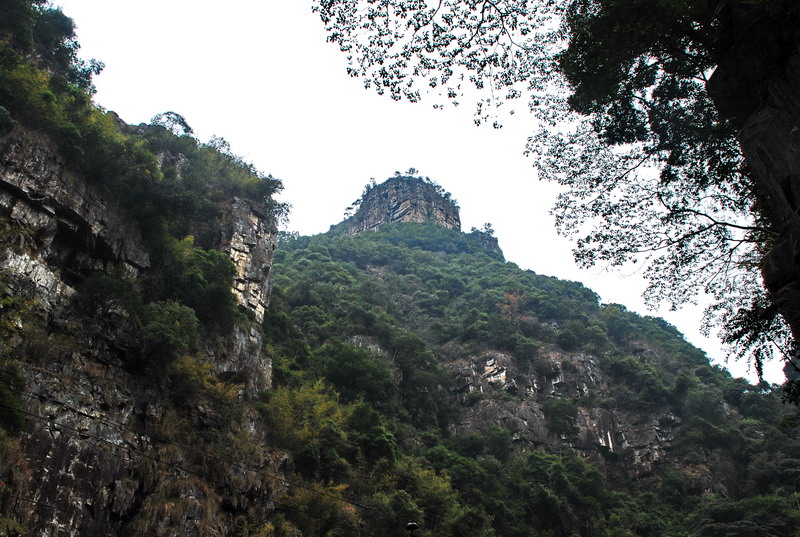 dsc_0187.jpg