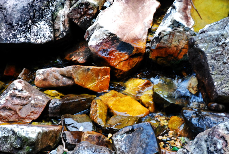 dsc_0198.jpg