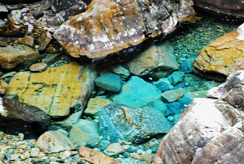 dsc_0196.jpg