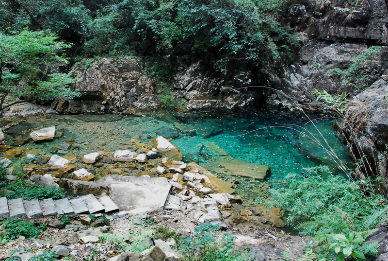 dsc_0200.jpg