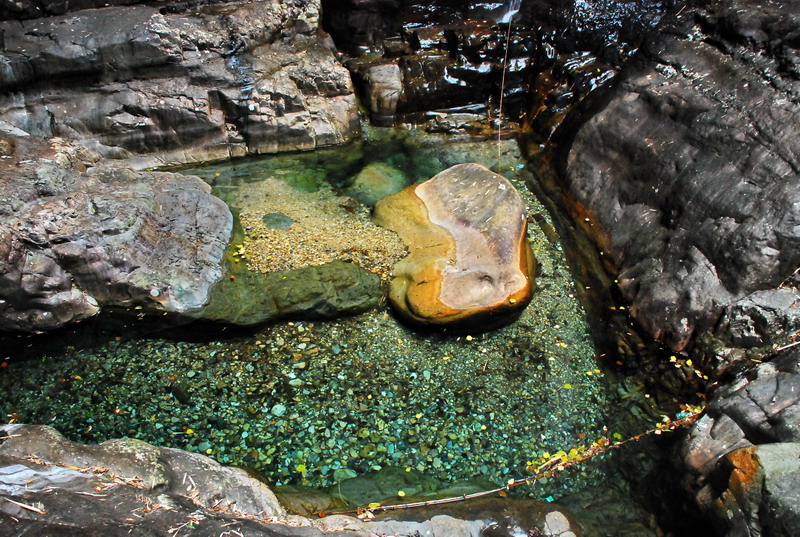 dsc_0202.jpg