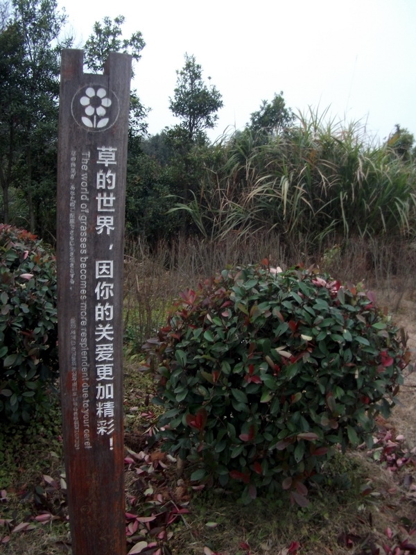 dscf0064.jpg