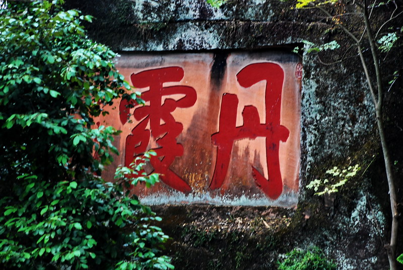 dsc_0295.jpg