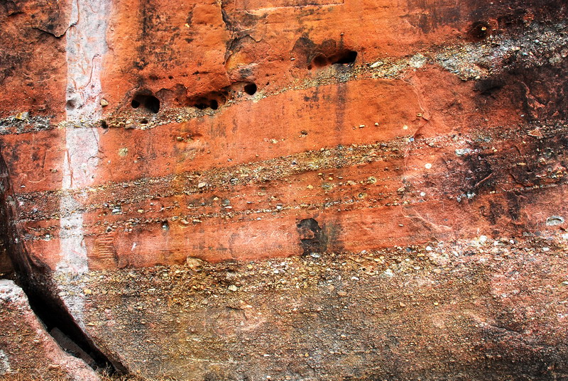 dsc_0304.jpg