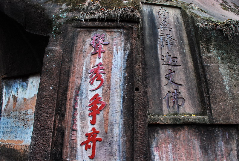dsc_0319.jpg