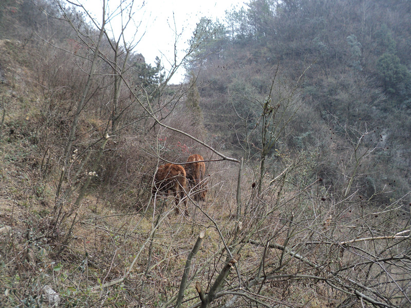 dsc06874_.jpg