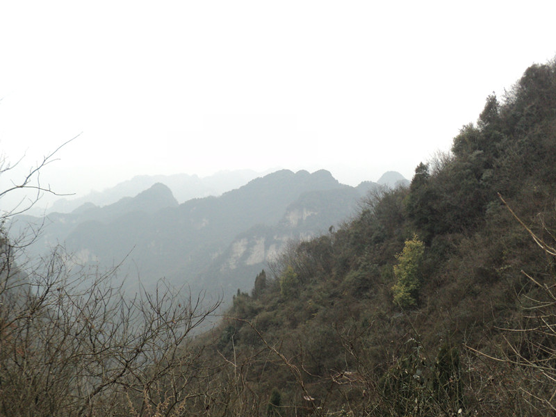 dsc06879_.jpg