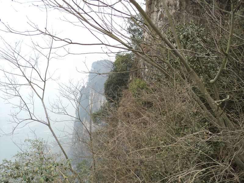 dsc06883_.jpg
