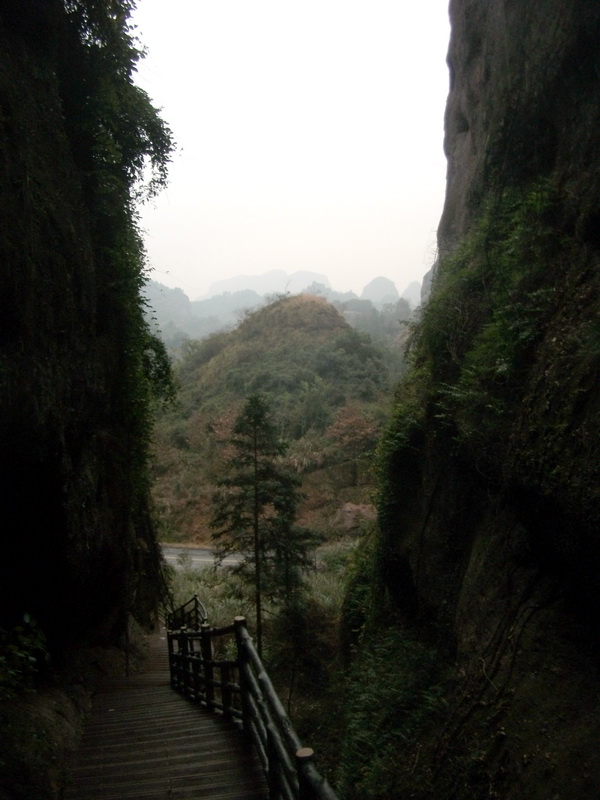 dscf0135.jpg