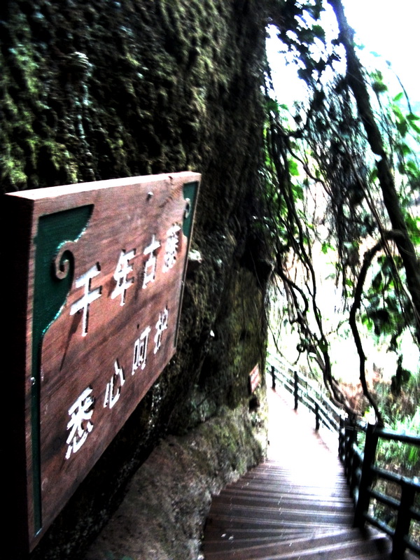dscf0136.jpg