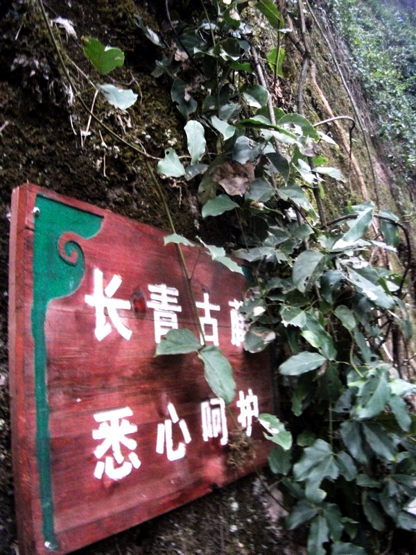 dscf0127.jpg