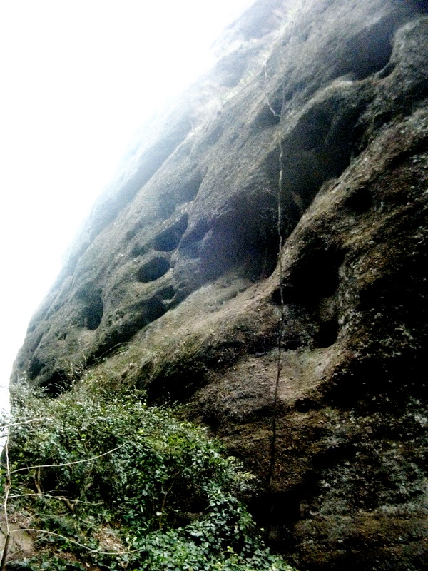 dscf0131.jpg