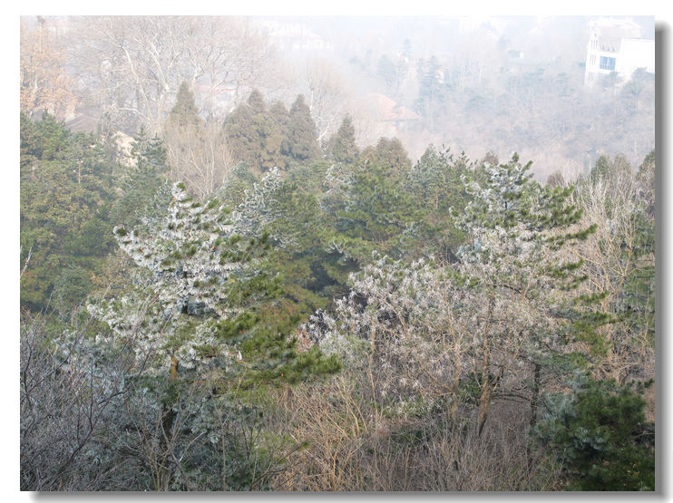 20120102 058.jpg