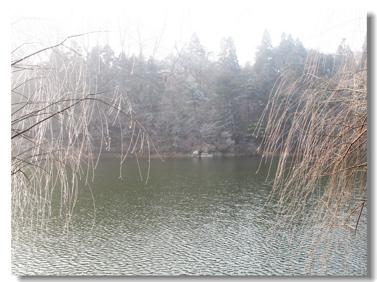 20120102 042.jpg