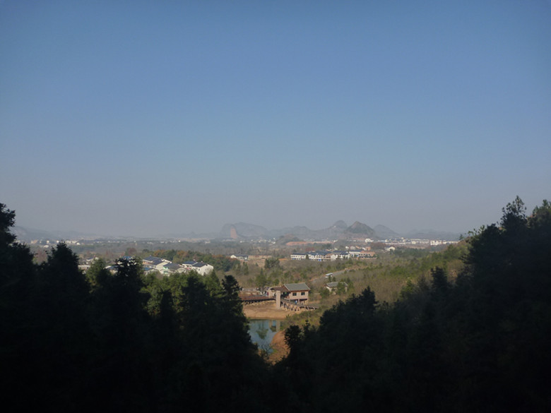 p1100260_.jpg