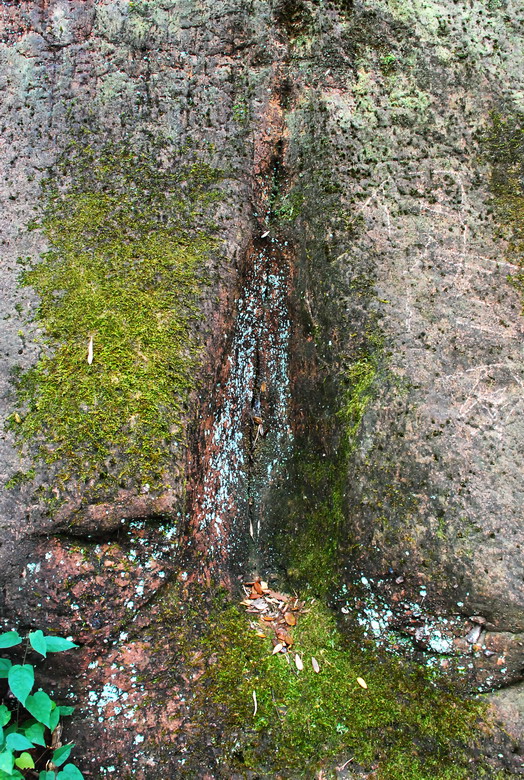 dsc_0491.jpg
