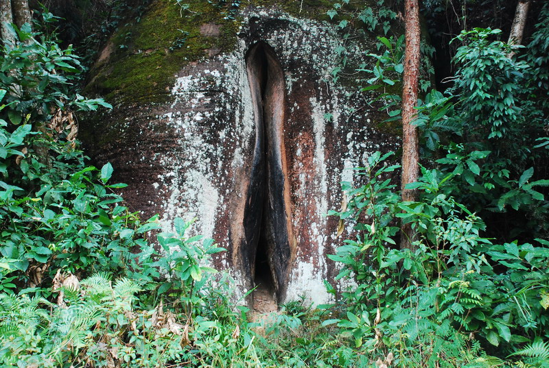dsc_0586.jpg