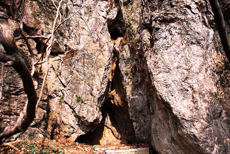 dsc_0278.jpg